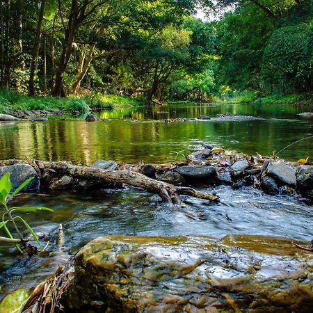 Cairns Homestead Redlynch Pet And Family Friendly Bagian luar foto