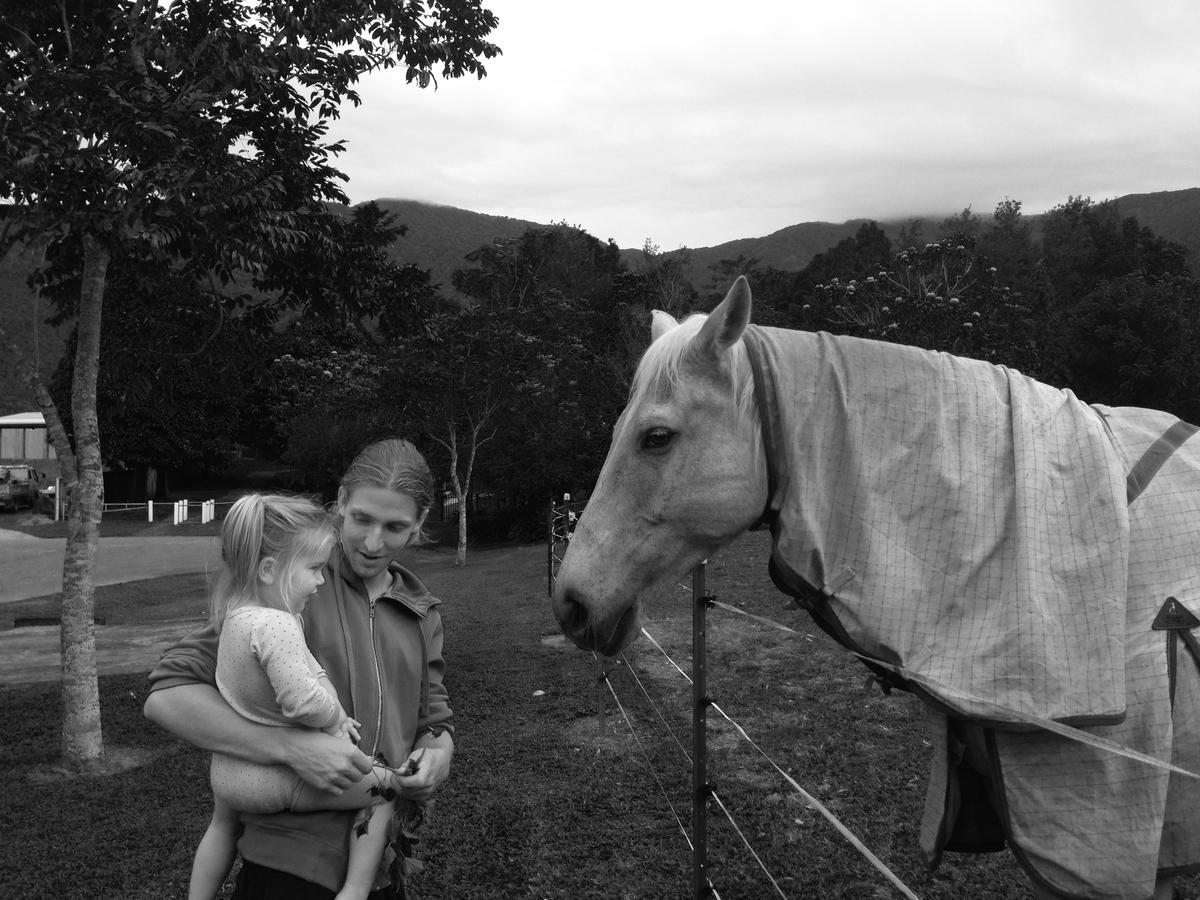 Cairns Homestead Redlynch Pet And Family Friendly Bagian luar foto