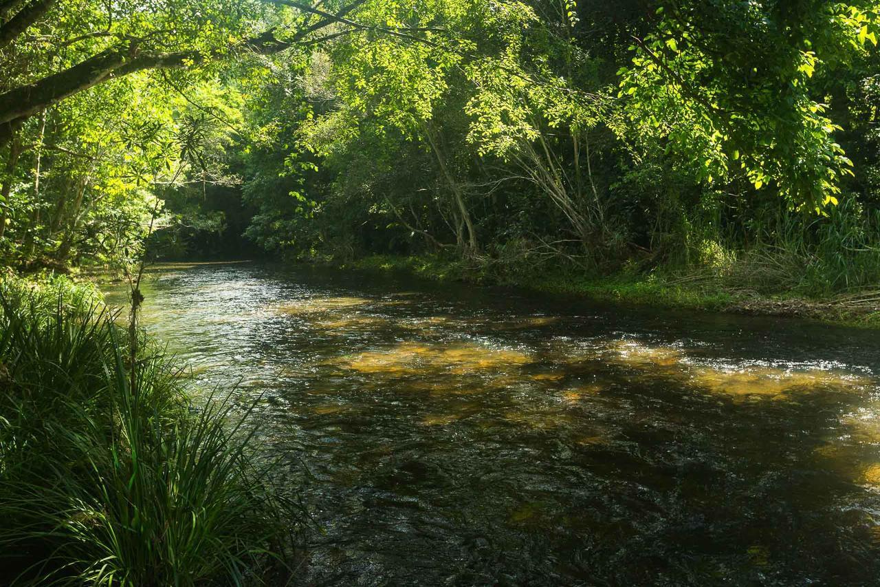 Cairns Homestead Redlynch Pet And Family Friendly Bagian luar foto