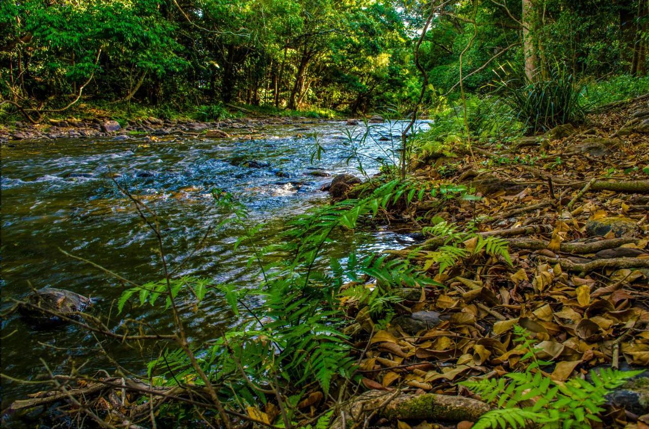 Cairns Homestead Redlynch Pet And Family Friendly Bagian luar foto