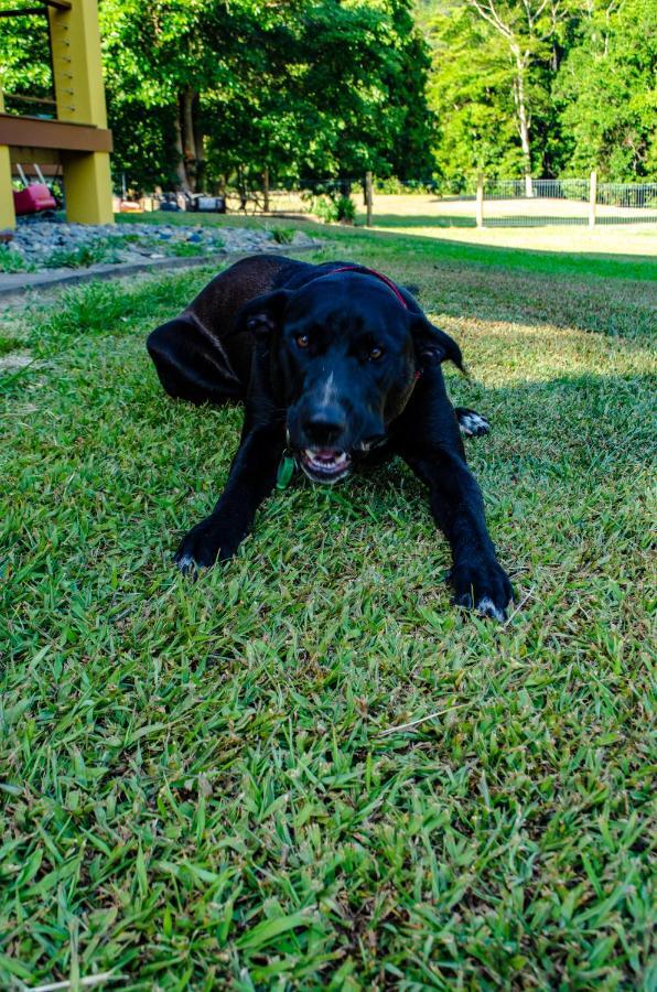 Cairns Homestead Redlynch Pet And Family Friendly Bagian luar foto