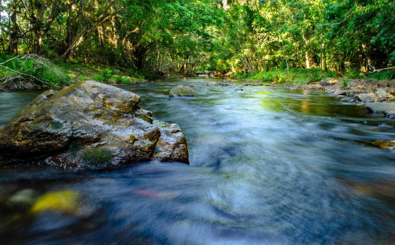 Cairns Homestead Redlynch Pet And Family Friendly Bagian luar foto