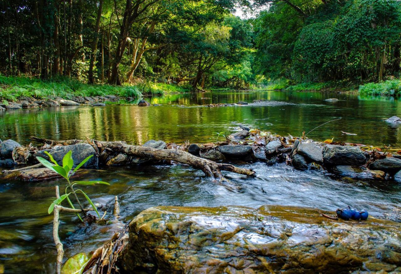 Cairns Homestead Redlynch Pet And Family Friendly Bagian luar foto